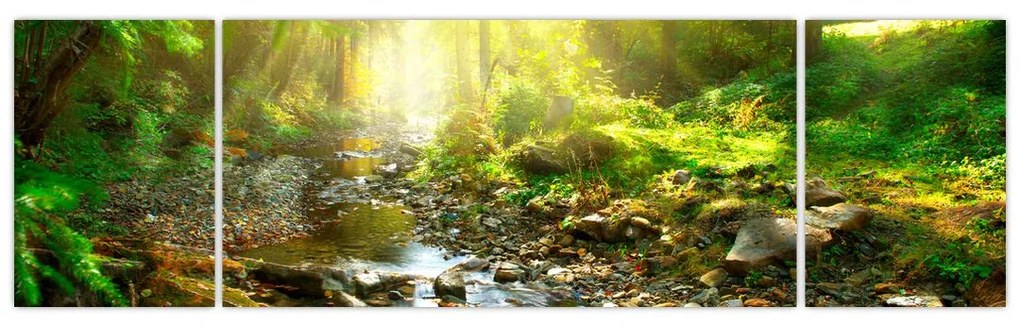 Obraz rzeki w zielonym lesie (170x50 cm)