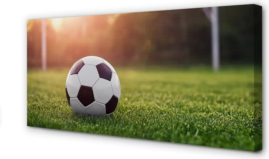 Obraz na płótnie Stadionowe Emocje Pod Bramką