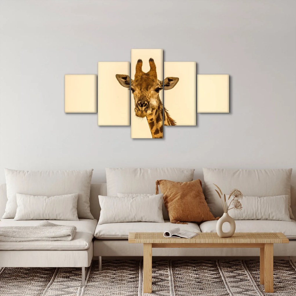 Obraz żyrafy (125x70 cm)
