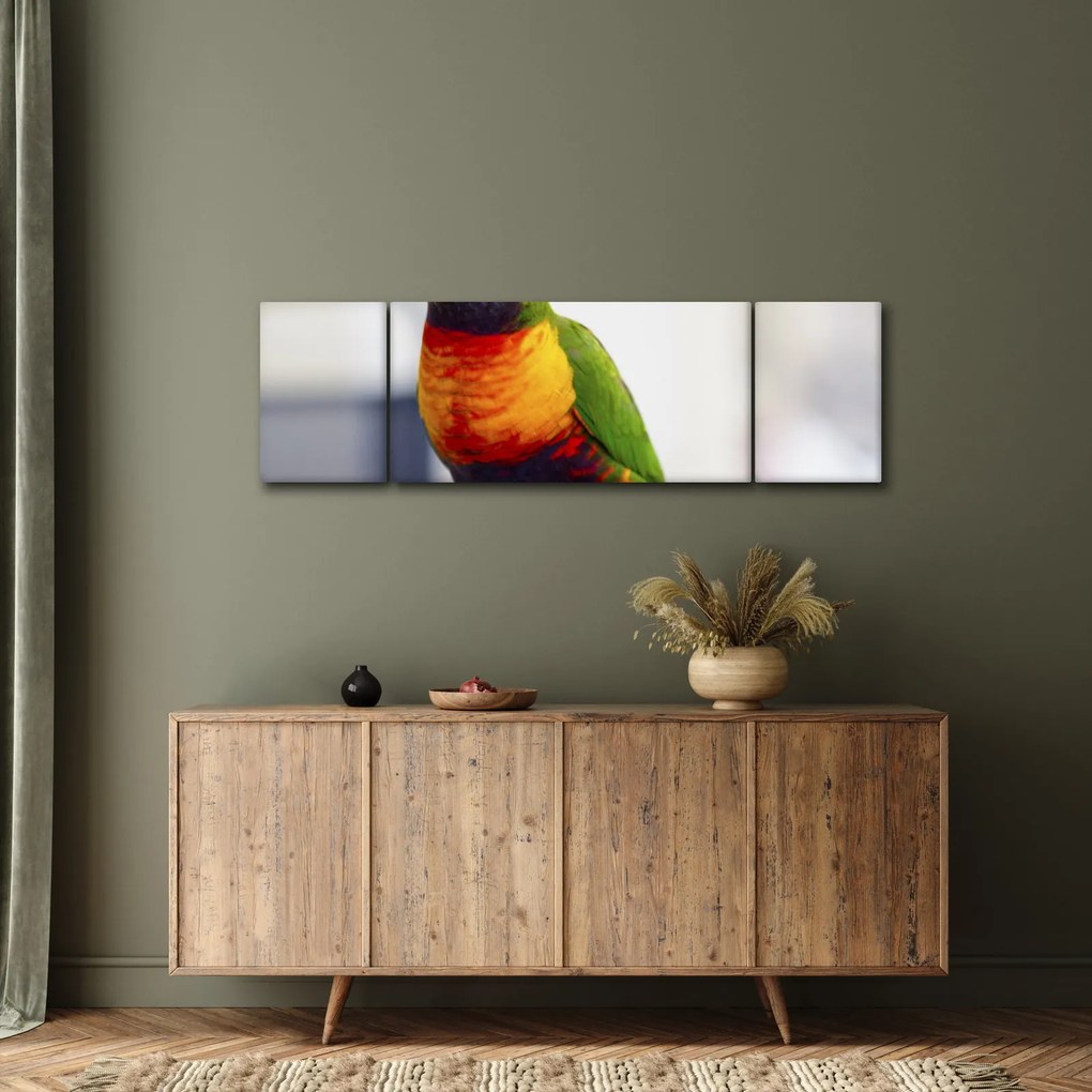 Obraz papugi (170x50 cm)