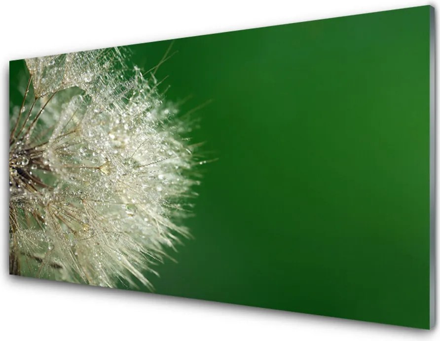 Szkło do Kuchni na Ścianę Puszysty Mniszek Lekarski