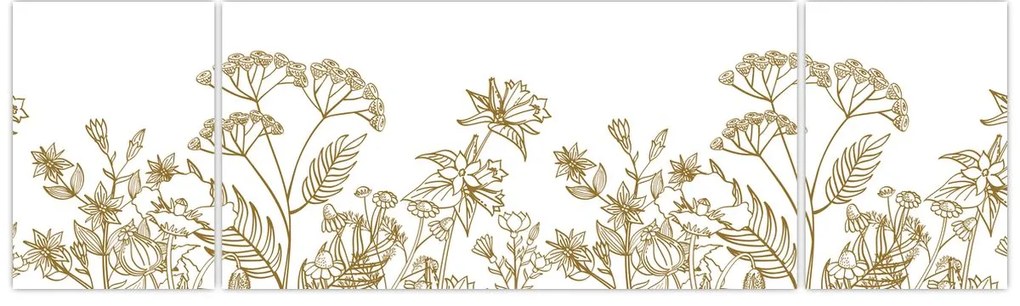 Obraz - Kwiaty polne (170x50 cm)