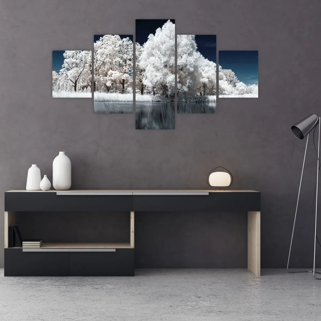 Obraz - Śnieżnobiałe drzewa (125x70 cm)