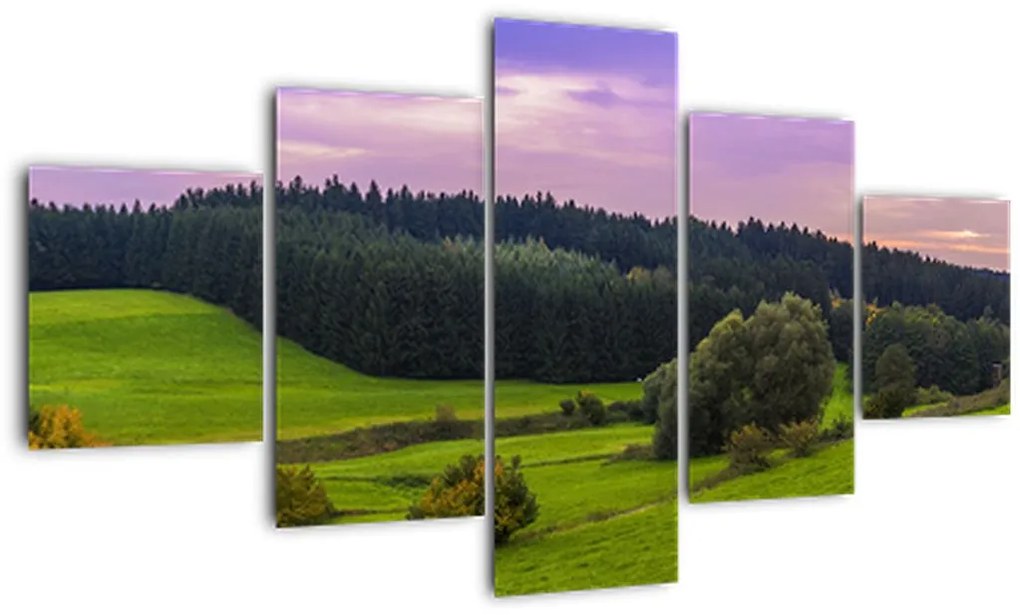 Obraz łąki (125x70 cm)