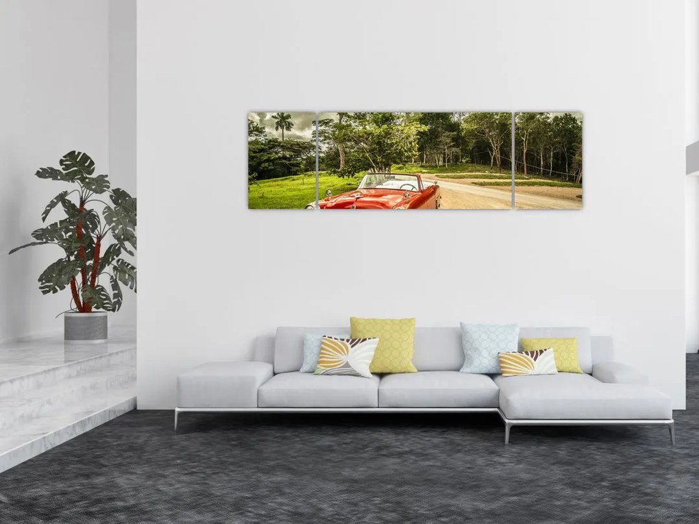 Obraz - zabytkowy samochód w przyrodzie (170x50 cm)