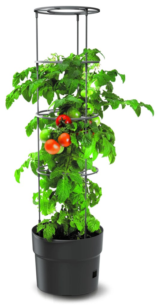 Doniczka do uprawy pomidorów Tomato Grower 28 l PROSPERPLAST