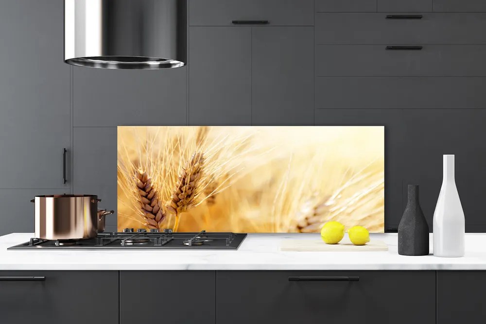 Panel Szklany Złociste Łany Pszenicy