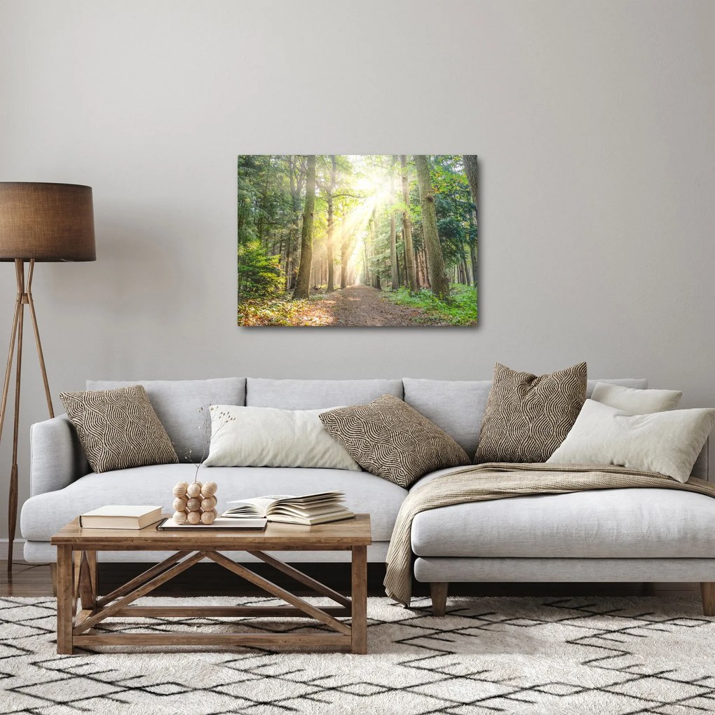 Obraz ścieżki w lesie (70x50 cm)