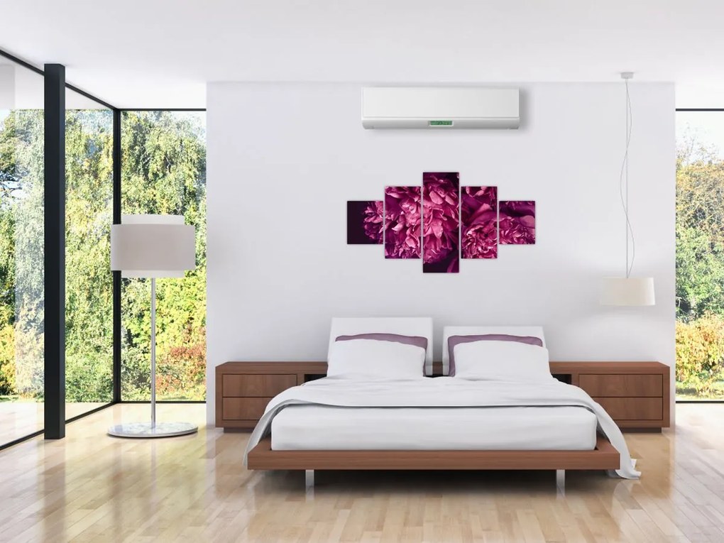 Obraz - Kwiaty piwonii (125x70 cm)