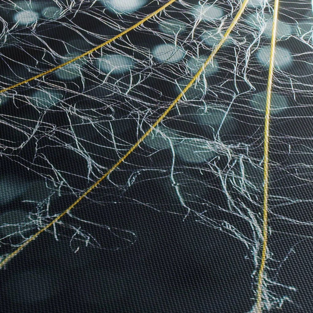 Obraz - Kwiat z pajęczyną (170x50 cm)