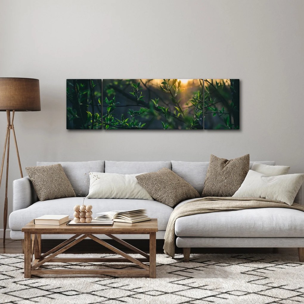 Obraz słońca przeświecającego przez gałęzie drzew (170x50 cm)