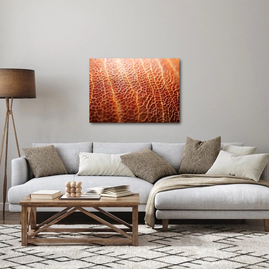 Obraz - Szczegóły tekstury (70x50 cm)