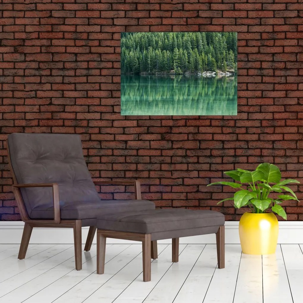 Obraz na szkle - drzewa iglaste nad jeziorem (70x50 cm)
