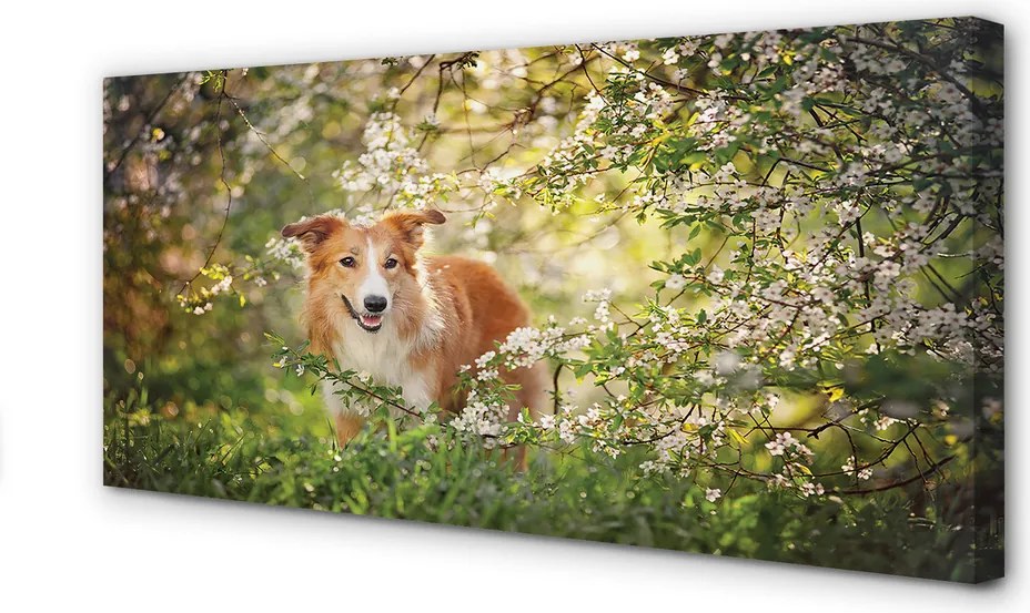 Obraz drukowany na płótnie Pies w Lesie wśród Kwiatów