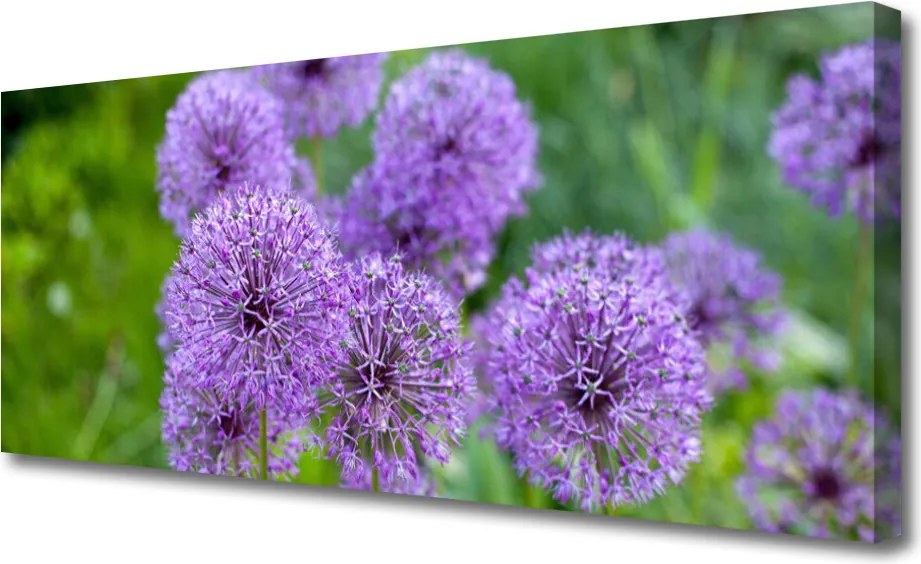 Obraz canvas Fioletowa Łąka Kwiatowa