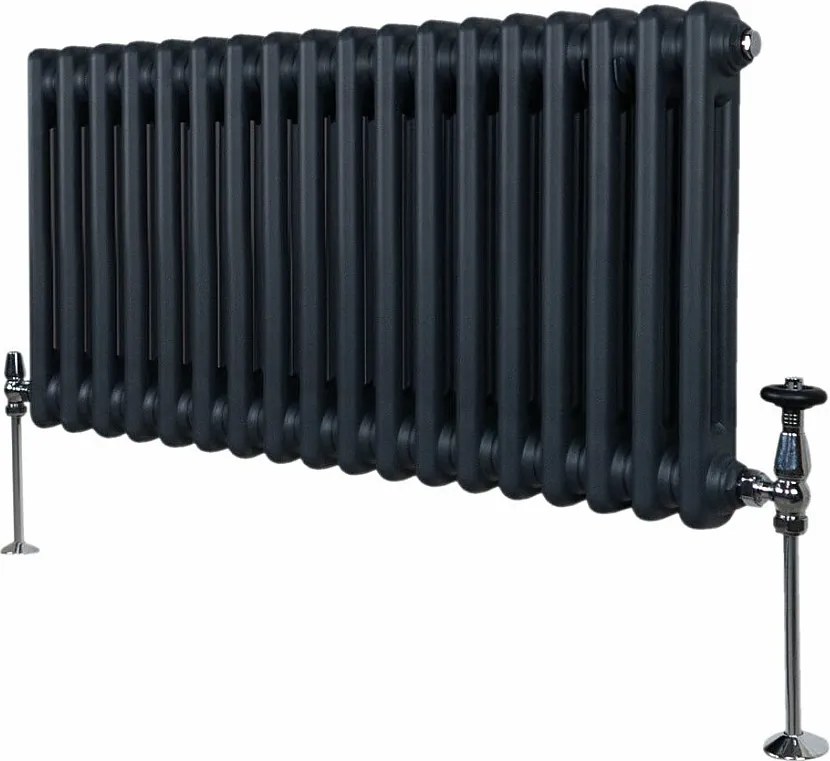 Tradycyjny grzejnik 2-kolumnowy - 300 x 832 mm - antracytowy szary