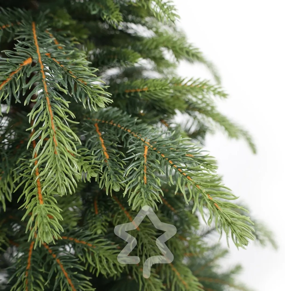 Świerk Natura 150 cm