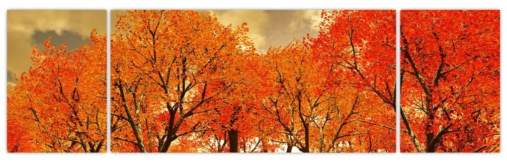 Obraz - Jesień (170x50 cm)