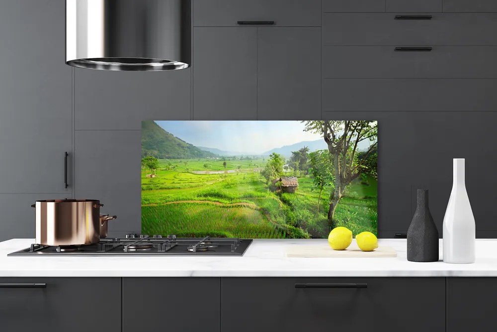 Szkło Dekoracyjne do Kuchni Sielska Zielona Łąka