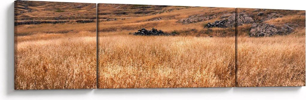 Obraz pola (170x50 cm)