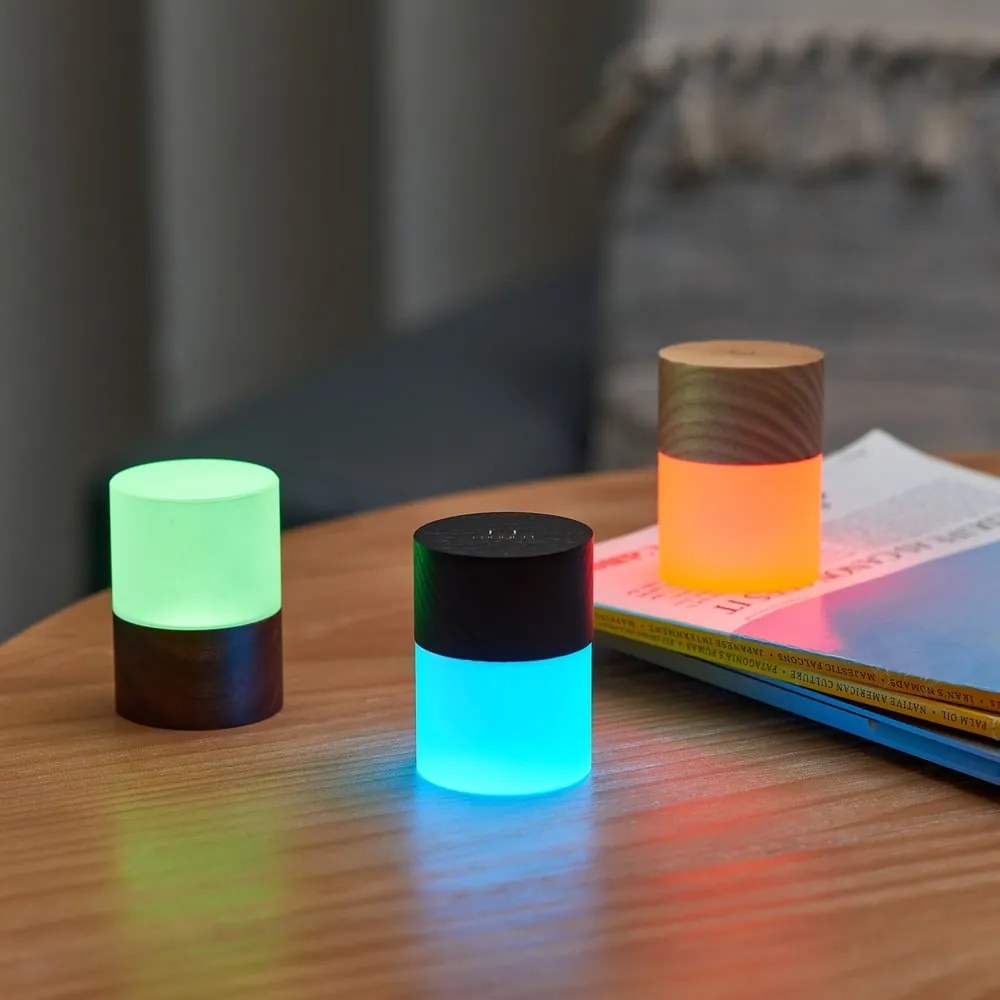 Dekoracja świetlna na USB w naturalnym kolorze ø 4,5 cm Lemelia – Gingko