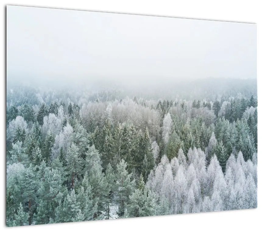 Obraz na szkle - Ośnieżone szczyty lasów (70x50 cm)