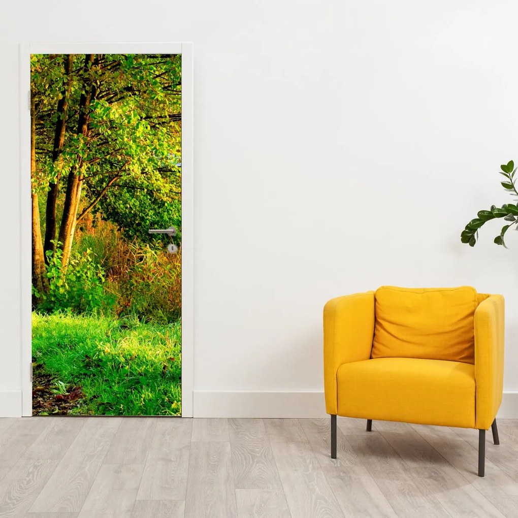 Fototapeta na drzwi - Ścieżka wzdłuż wody (95x205cm)