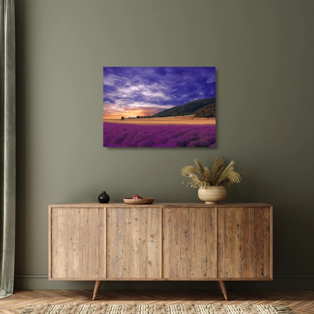 Obraz na szkle lawendowej łąki (70x50 cm)