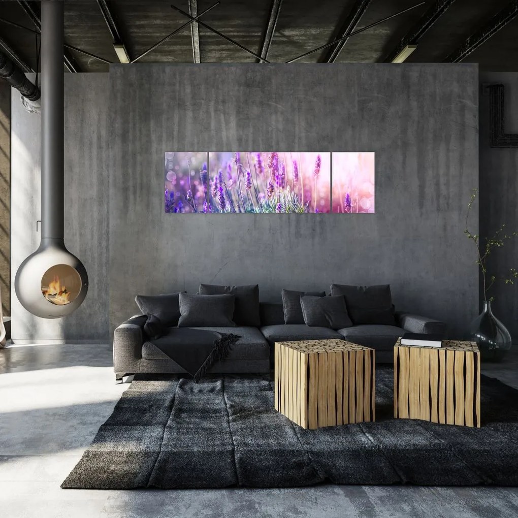 Obraz - Lawenda w słońcu (170x50 cm)