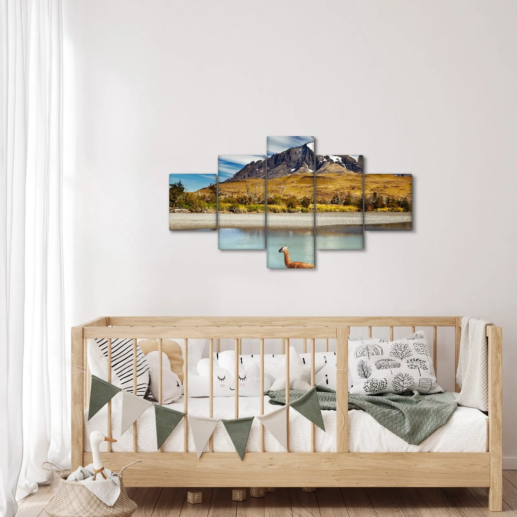 Obraz - Park Narodowy Torres del Paine (125x70 cm)