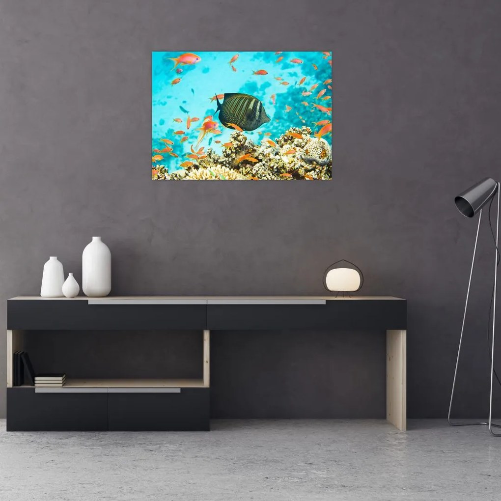 Obraz podwodnego świata (70x50 cm)