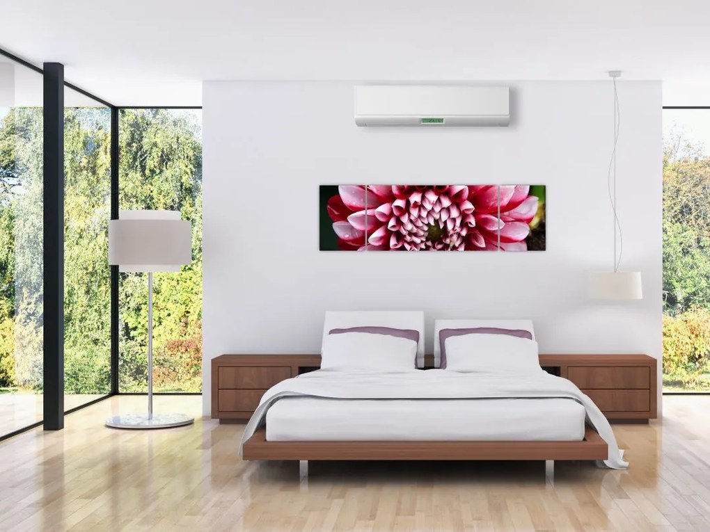 Obraz różowej dalii (170x50 cm)