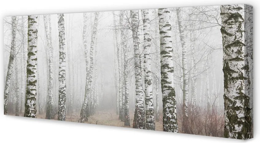 Zdjęcie na płótnie Mgła w Lesie Brzozowym