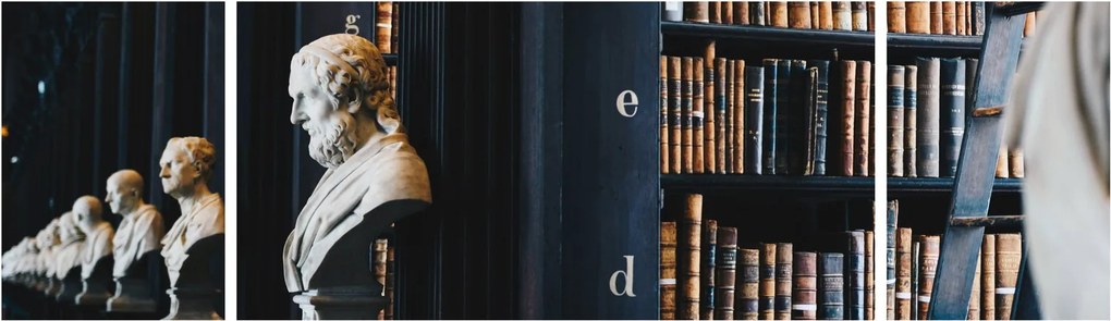 Obraz - W bibliotece (170x50 cm)