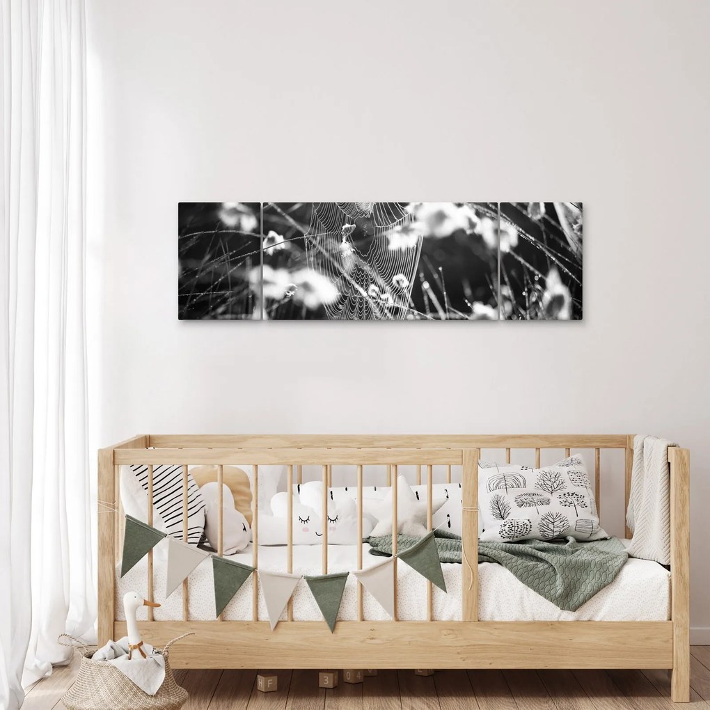 Obraz - Pajęczyna na łące (170x50 cm)