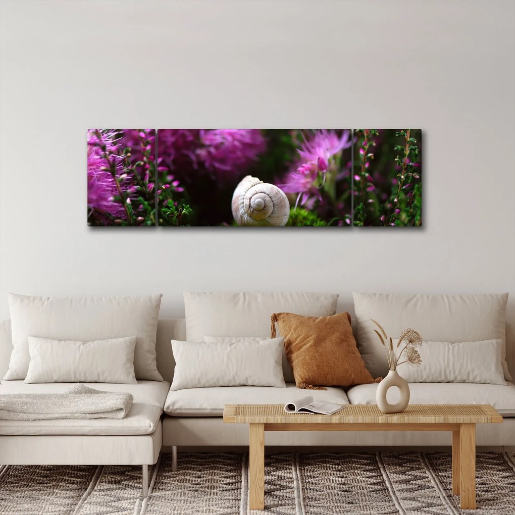 Obraz - Muszla ślimaka (170x50 cm)