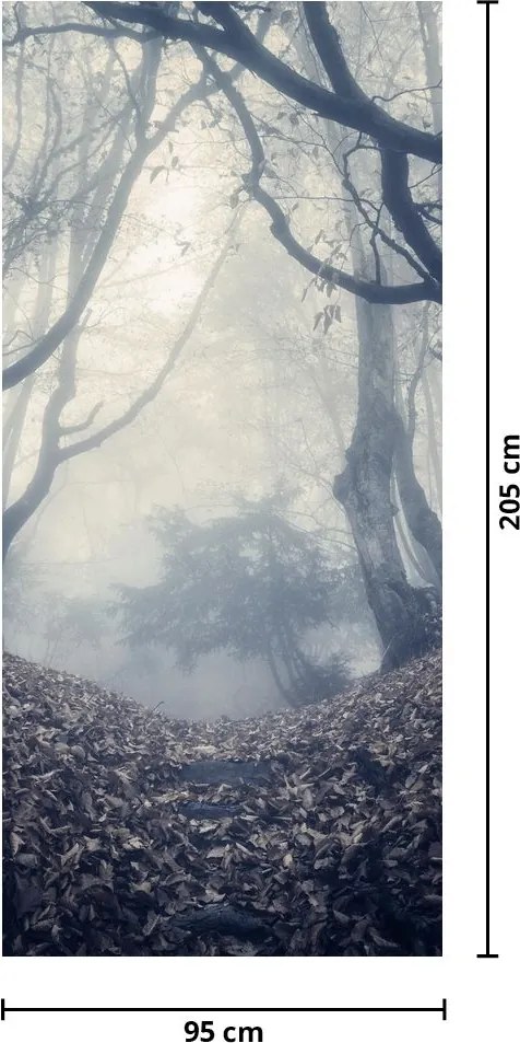 Fototapeta na drzwi - Las we mgle (95x205cm)
