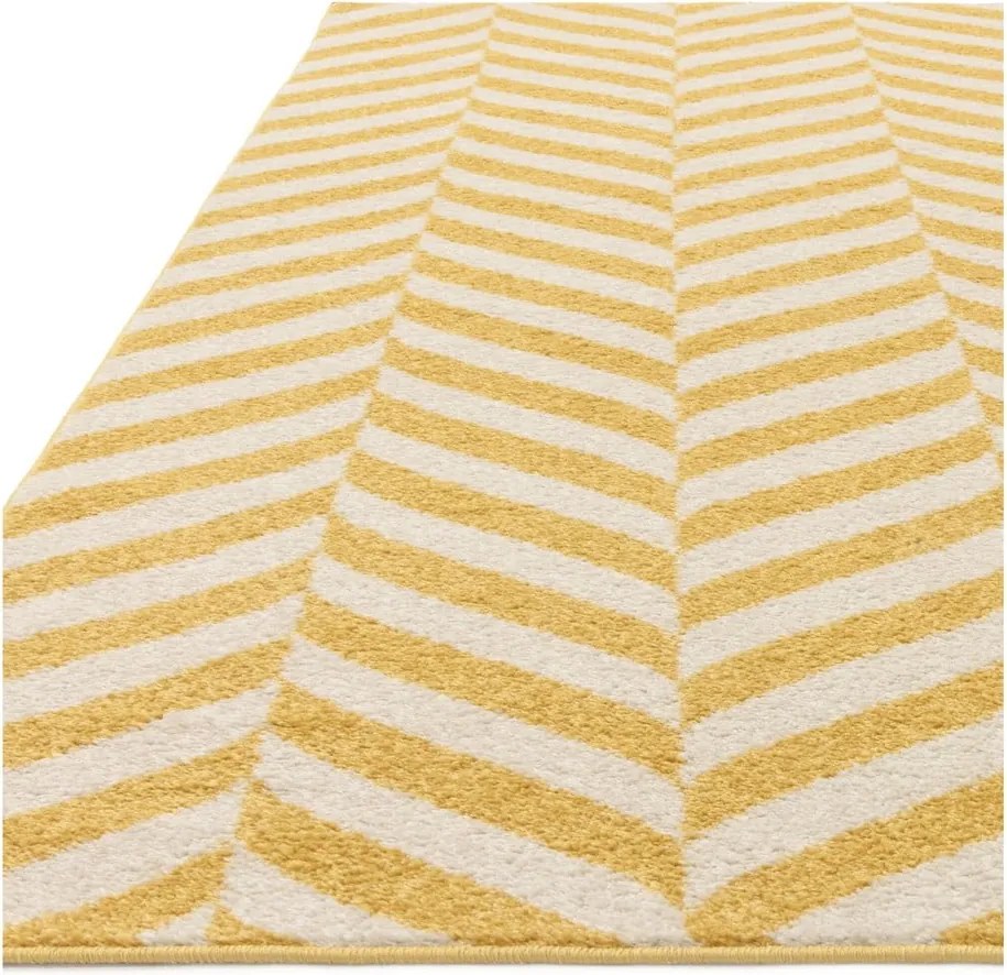 Dywan żółty 230x160 cm Muse - Asiatic Carpets