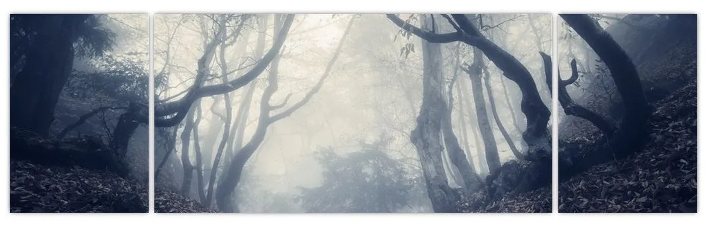 Obraz- Las we mgle (170x50 cm)