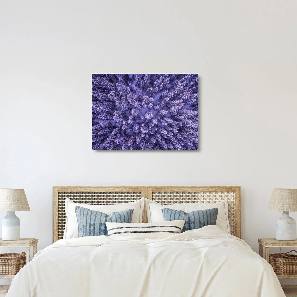 Obraz na szkle ośnieżonych drzew (70x50 cm)