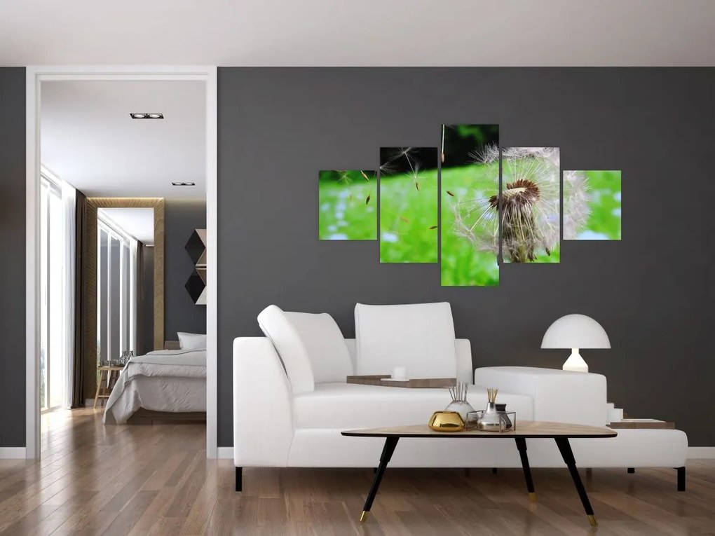 Obraz dmuchawca (125x70 cm)