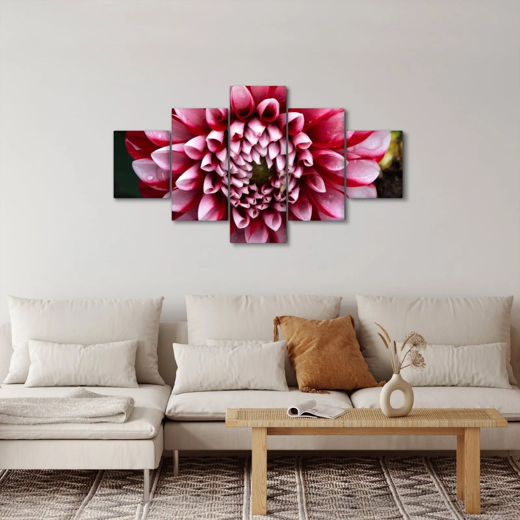 Obraz różowej dalii (125x70 cm)