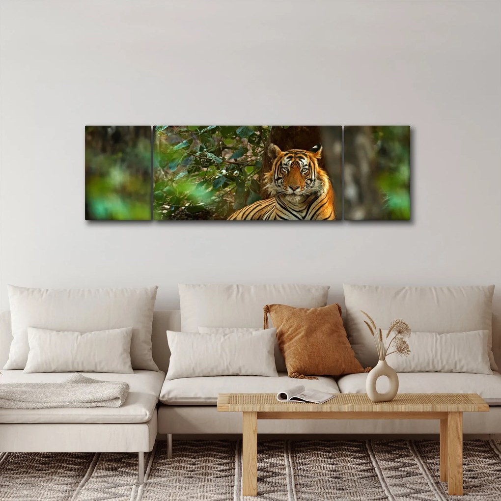 Obraz odpoczywającego tygrysa (170x50 cm)