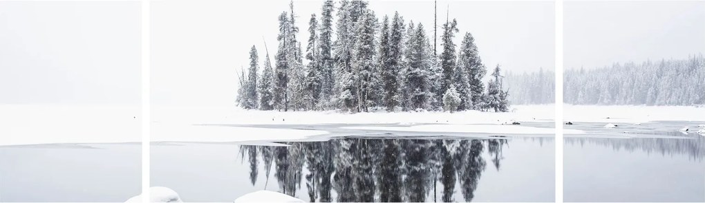 Obraz - Było biało (170x50 cm)