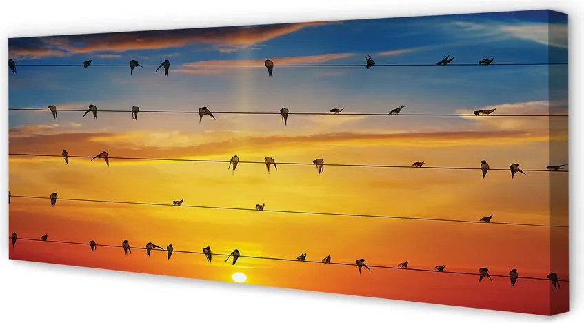 Zdjęcie na płótnie Ptaki na Linach o Zmierzchu