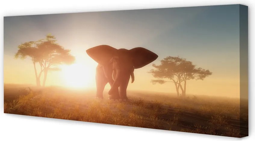 Obraz na płótnie Słoń i Drzewa o Wschodzie
