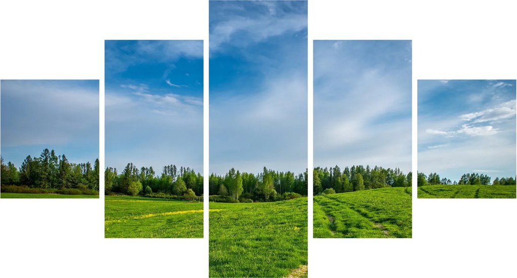 Obraz łąki (125x70 cm)