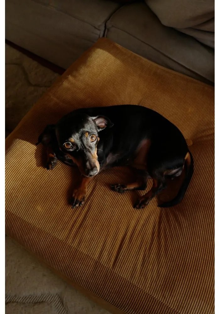 Puf Karup Design More Petrol Blue