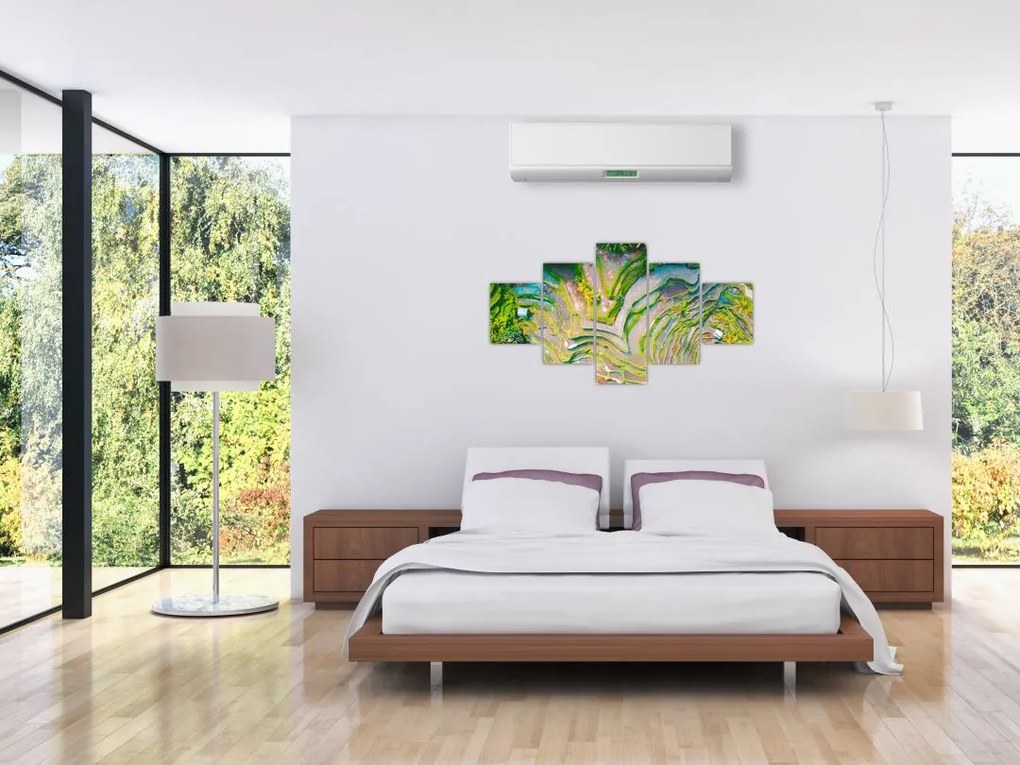 Obraz pól ryżowych z lotu ptaka (125x70 cm)