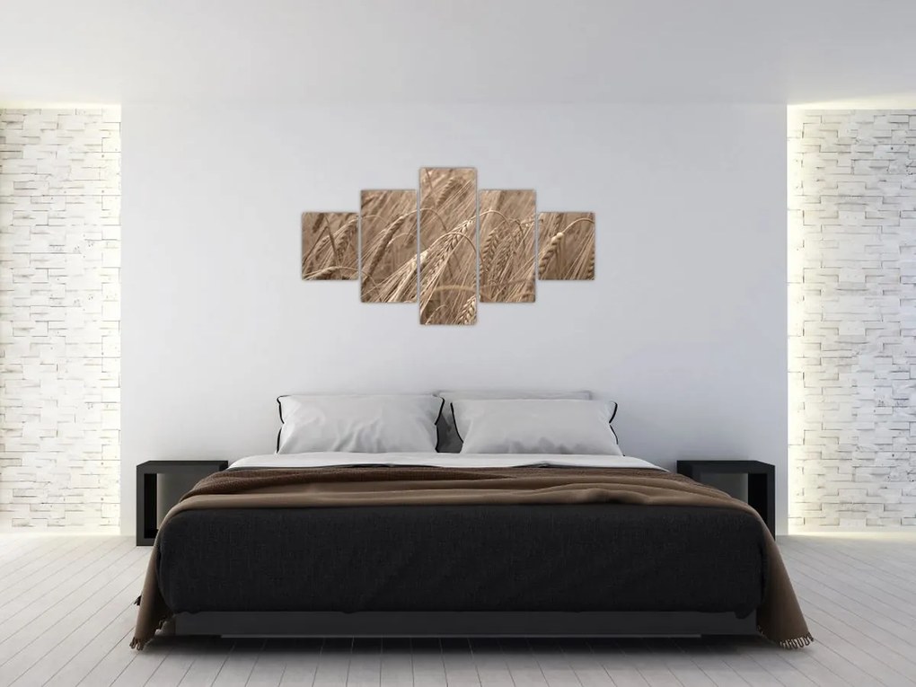 Obraz - Złote pole (125x70 cm)